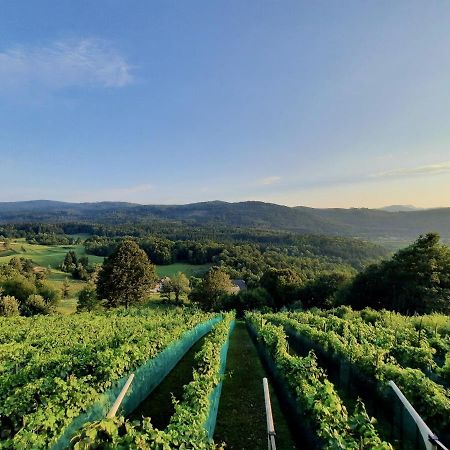 Vineyard Cottage Kulovec Ursna Sela Esterno foto