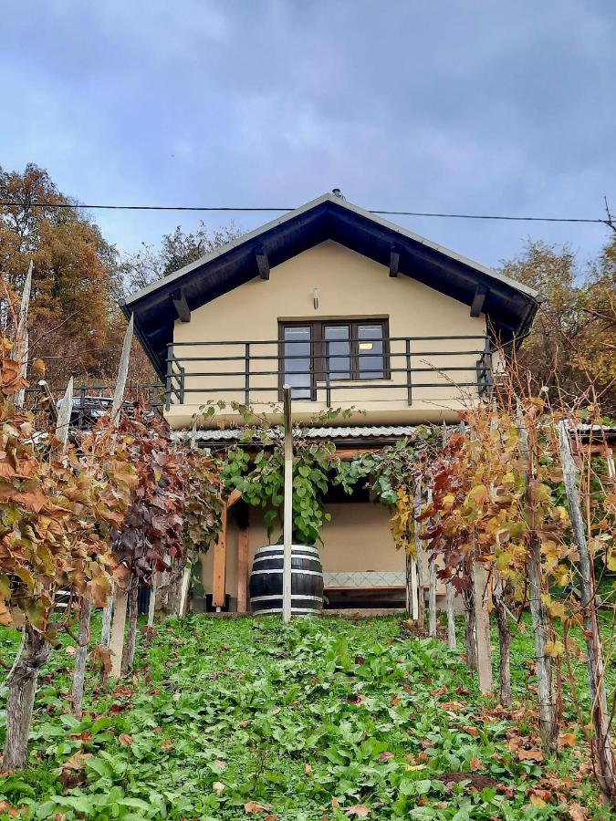 Vineyard Cottage Kulovec Ursna Sela Esterno foto