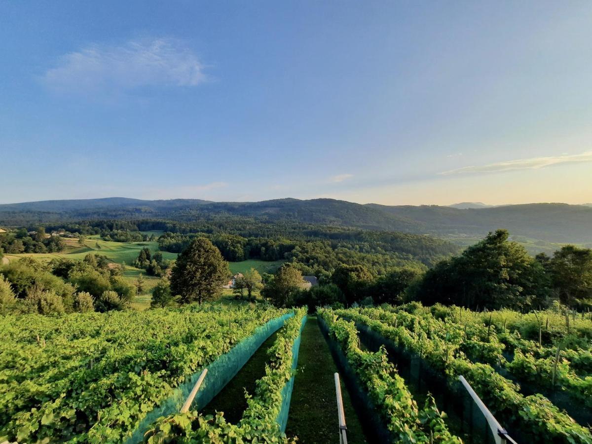 Vineyard Cottage Kulovec Ursna Sela Esterno foto