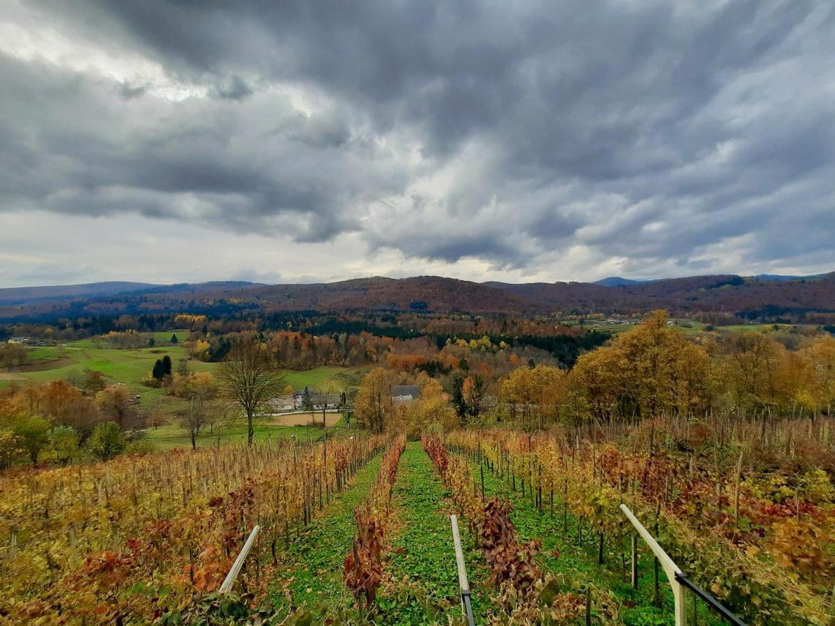 Vineyard Cottage Kulovec Ursna Sela Esterno foto