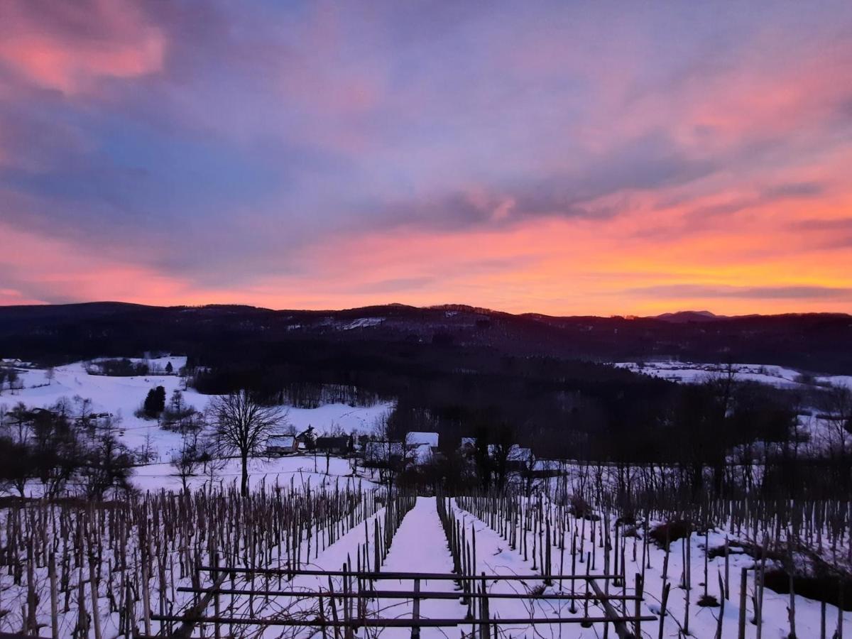 Vineyard Cottage Kulovec Ursna Sela Esterno foto