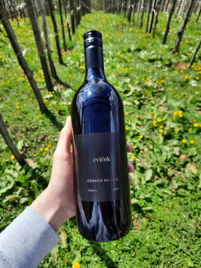 Vineyard Cottage Kulovec Ursna Sela Esterno foto